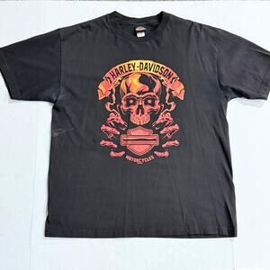 Harley-Davidson Flaming Skull San Diego Graphic T-Shirt Black XL Biker